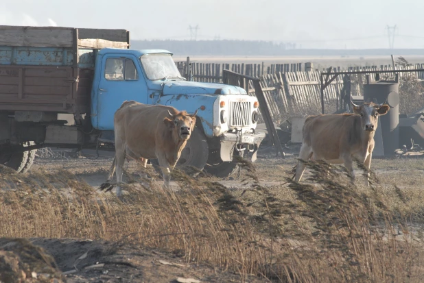 Пожар в Николаевке 2010.