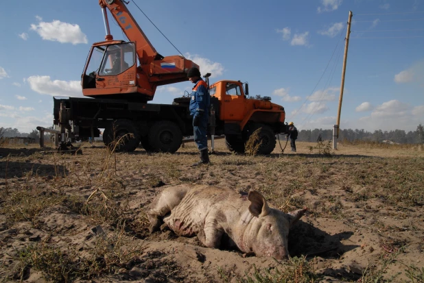 Пожар в Николаевке 2010.