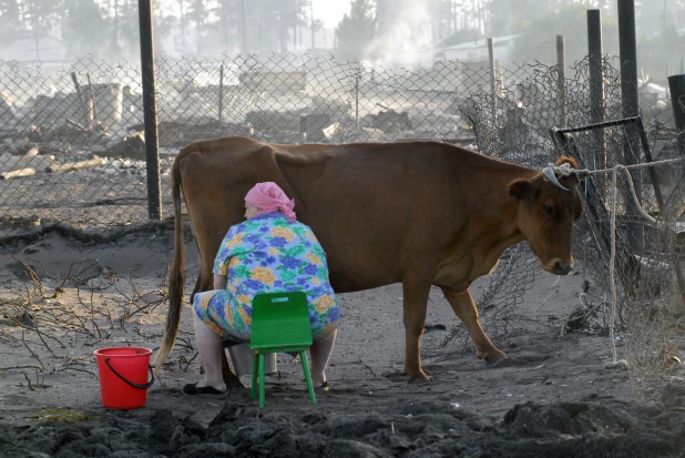 Пожар в Николаевке 2010.