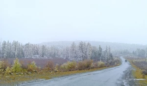 Красивый снег внезапно выпал на Алтае.