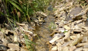 Уникальный источник найден в Алтайском крае.