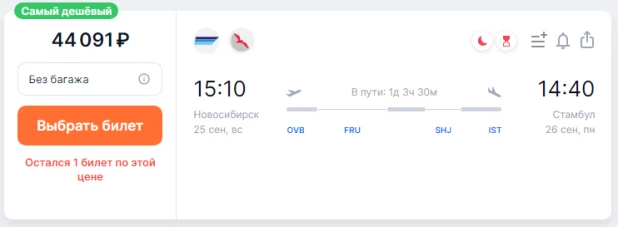 Билет на перелет из Новосибирска в Стамбул. 