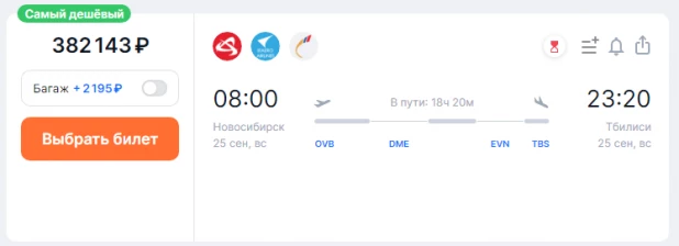 Билет на перелет из Новосибирска в Тбилиси. 