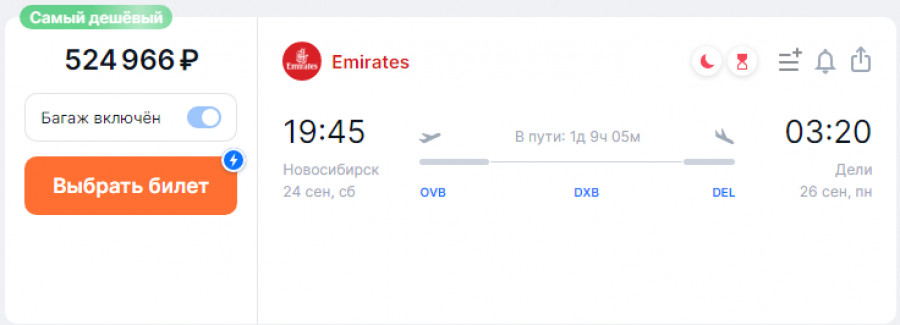 Билет на перелет из Новосибирска в Дели. 
