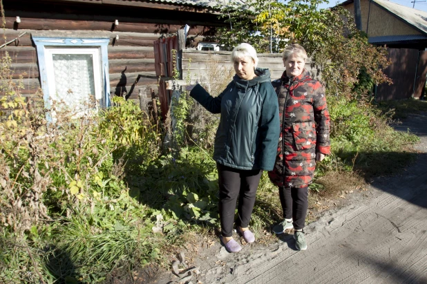 Жители ул. Боровая в Центральном районе Барнаула жалуются на агрессивных собак. 