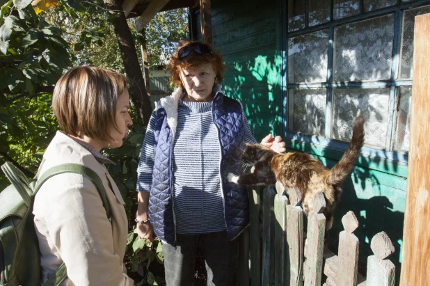 Жители ул. Боровая в Центральном районе Барнаула жалуются на агрессивных собак. 