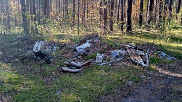 В Барнауле ликвидировали несанкционированную свалку в лесу. 