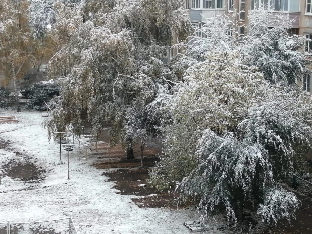 Первый снег на Алтае 