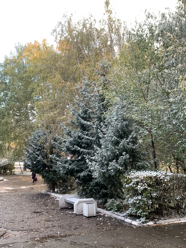 Снегопад и метель в Барнауле.