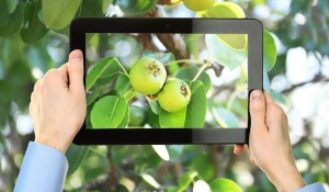 Производители товаров для сельского хозяйства смогут создавать собственные интернет-магазины на цифровой платформе РСХБ.