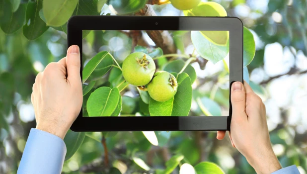 Производители товаров для сельского хозяйства смогут создавать собственные интернет-магазины на цифровой платформе РСХБ.