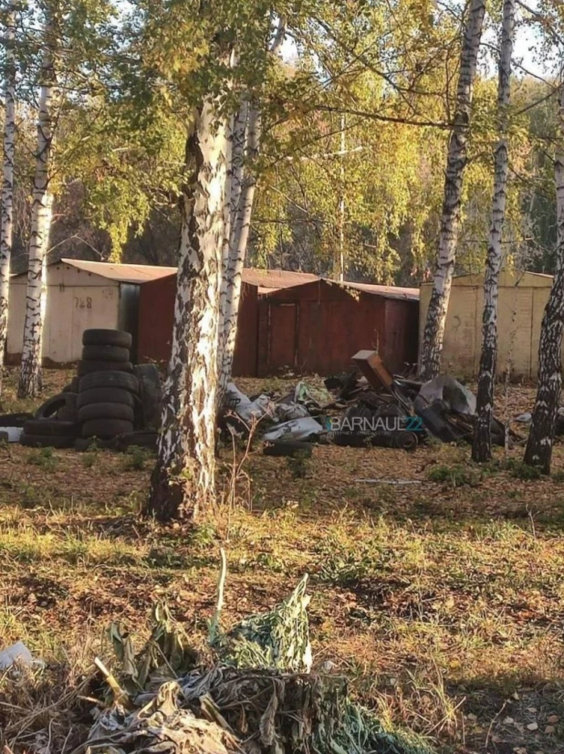 Жители Барнаула пожаловались на неубранные спиленные деревья