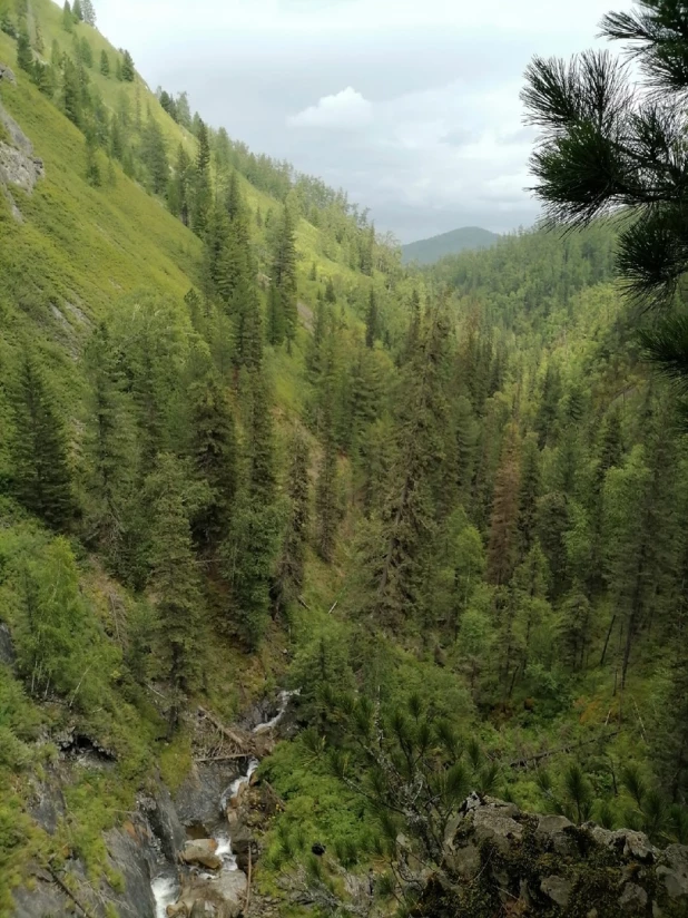 Командировка в Солонешенский район. 