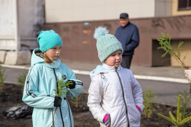 Елочки на месте байка.