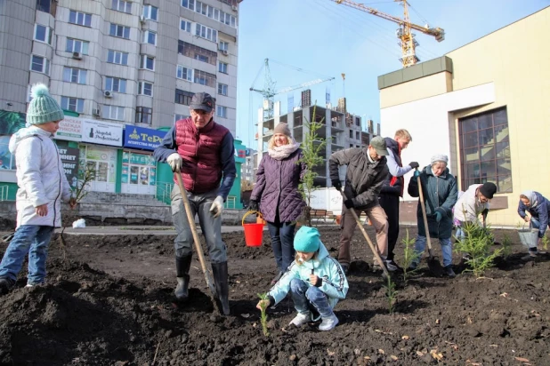 Елочки на месте байка.