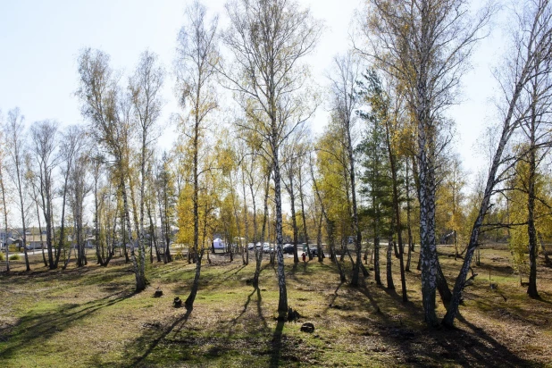 «Фирсова Слобода» показала свои коттеджи в «Палитре».