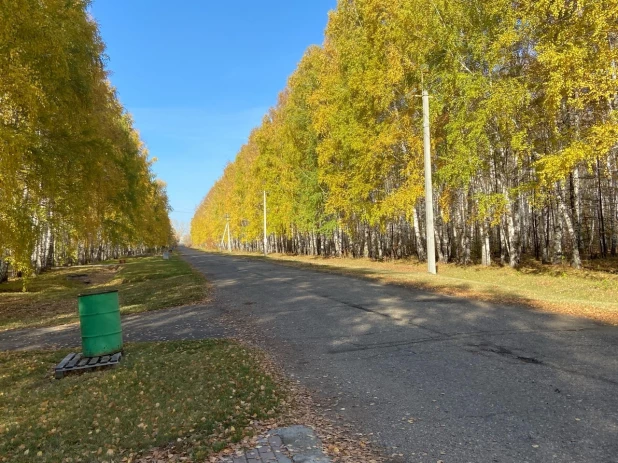 Ул. Живописная в Барнауле. 