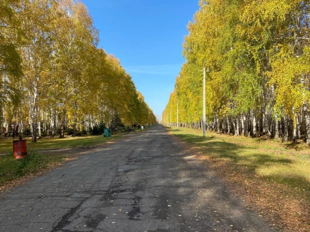 Ул. Живописная в Барнауле. 