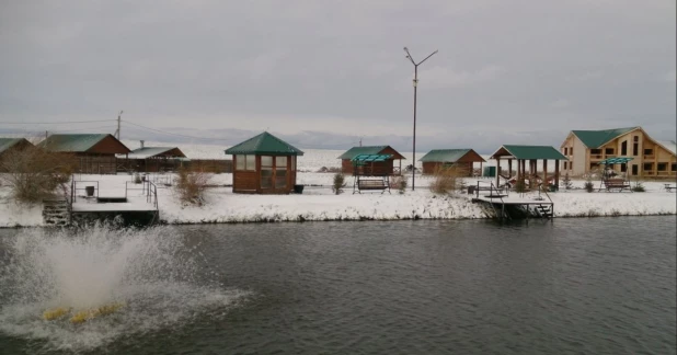 «Рыбацкая деревня» в Белокурихе.