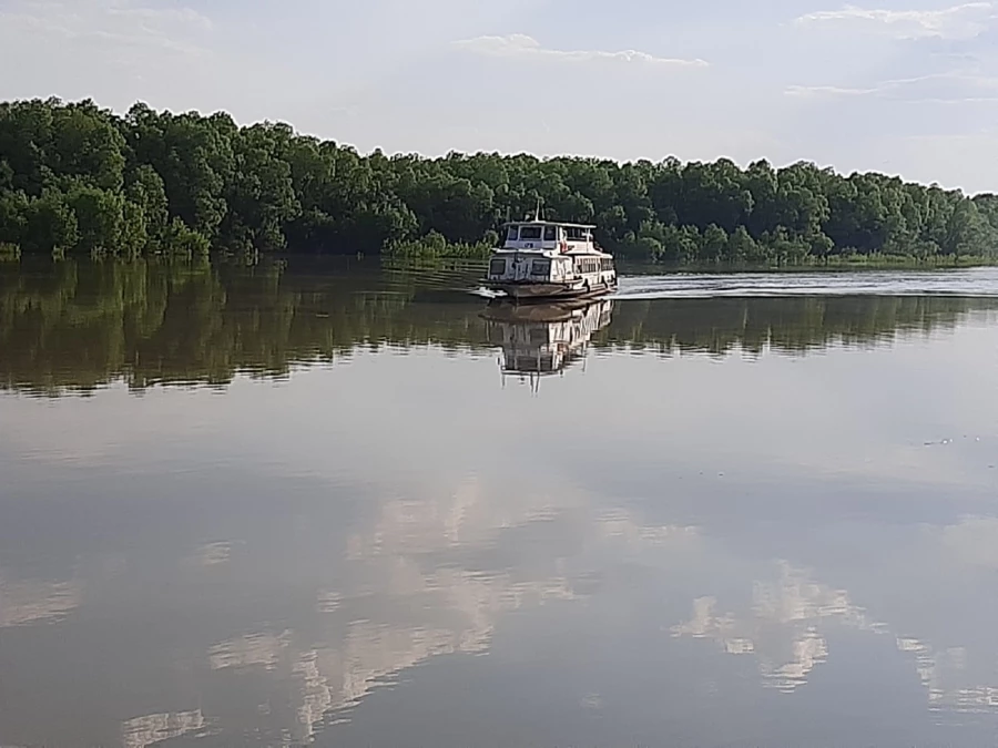 Рукав Оби у Бобровки летом.