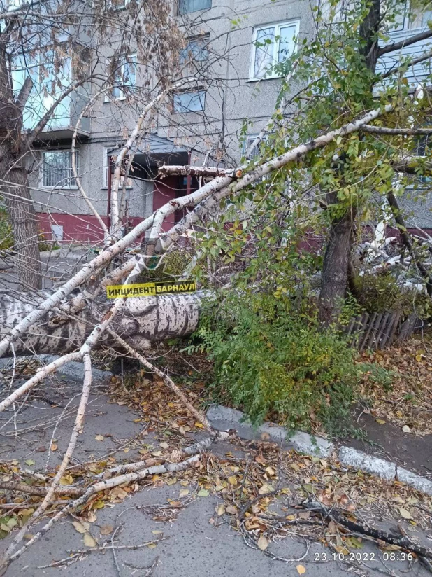 Разрушения из-за сильного ветра 