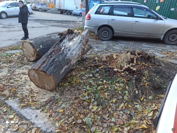 Последствия сильного ветра в Барнауле 