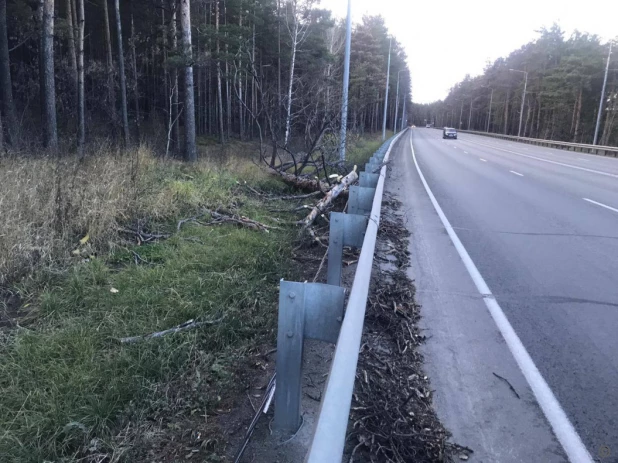 Последствия сильного ветра в Барнауле 