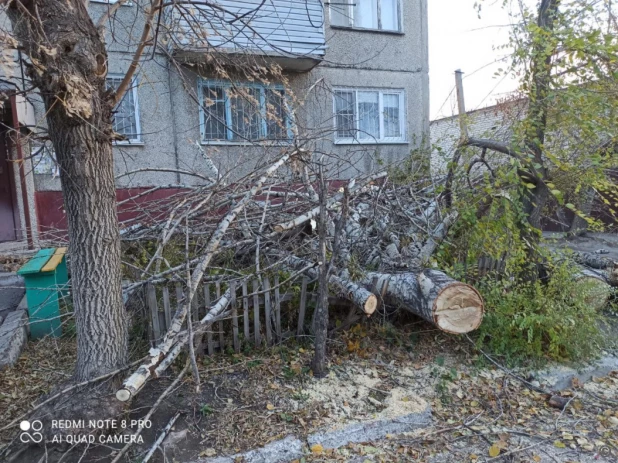 Непогода в Барнауле