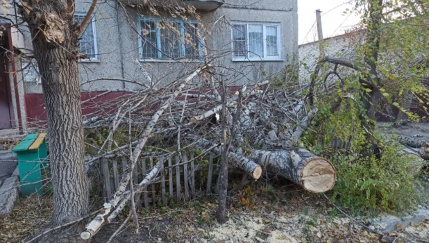 Непогода в Барнауле