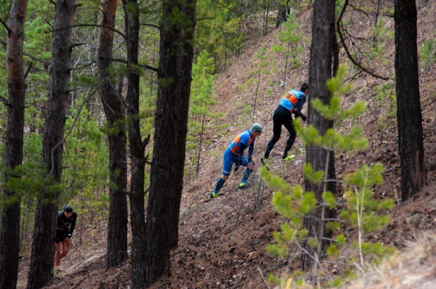 Забег Yolochka Trail в Барнауле. 