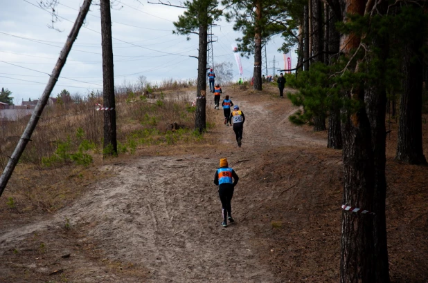 Забег Yolochka Trail в Барнауле. 