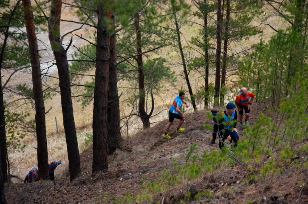 Забег Yolochka Trail в Барнауле. 