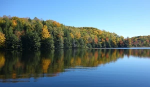 Река, вода, озеро, река в горах, озеро в лесу.