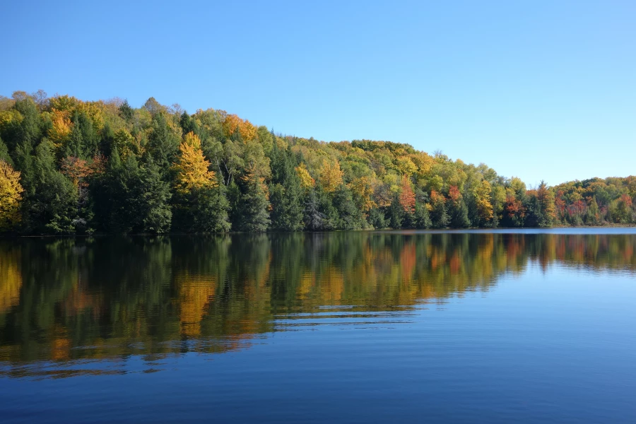 Река, вода, озеро, река в горах, озеро в лесу.