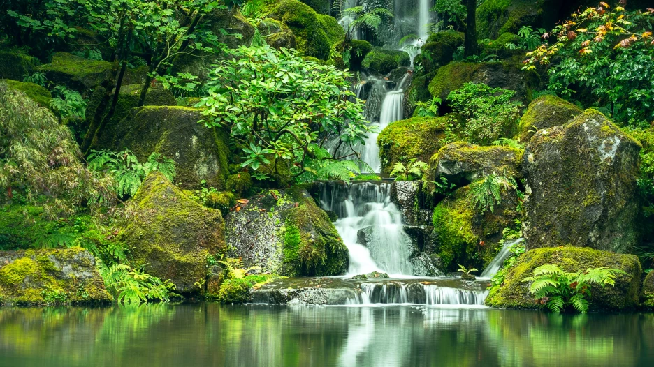 Река, вода, озеро, река в горах, озеро в лесу, водопад.
