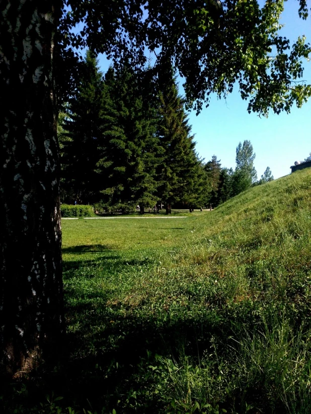 Барнаул в разные времена года.