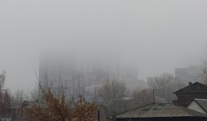 Туман в Барнауле 