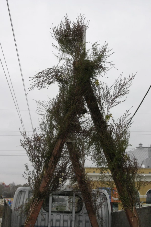 Крестный ход в Барнауле 04.11.2005.