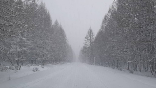 Снег на Алтае.