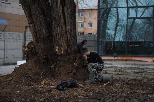 В Барнауле парк "Изумрудный" заполняют водой 16.11.2022.