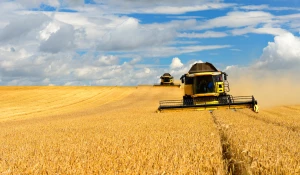 Сельское хозяйство.