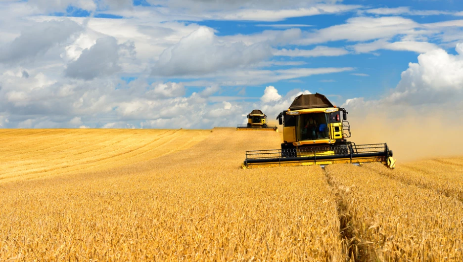 Сельское хозяйство.