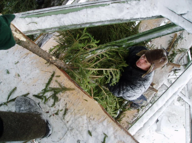 Установка снежного городка и елки к наступающему 2004 году. 