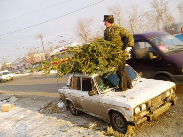 Установка снежного городка и елки к наступающему 2004 году. 