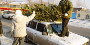 Установка снежного городка и елки к наступающему 2004 году. 