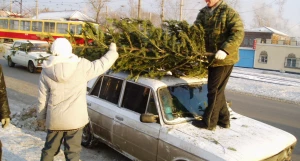 Установка снежного городка и елки к наступающему 2004 году. 