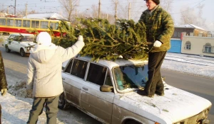 Установка снежного городка и елки к наступающему 2004 году. 