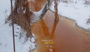 Грязная река в СНТ "Золотая гора" 