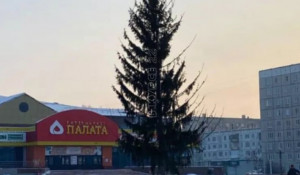 Новогодняя елка в Заринске.