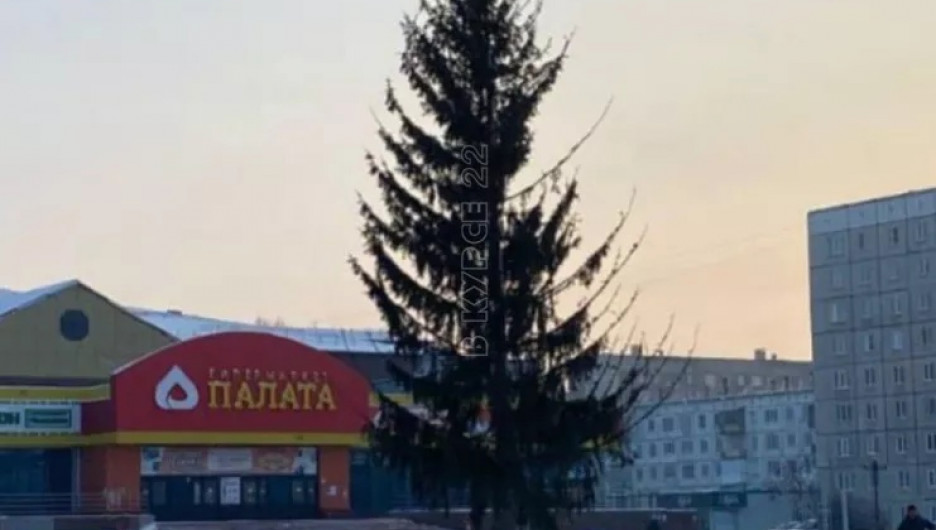 Власти Заринска пообещали привести потрепанную елку в надлежащий вид 